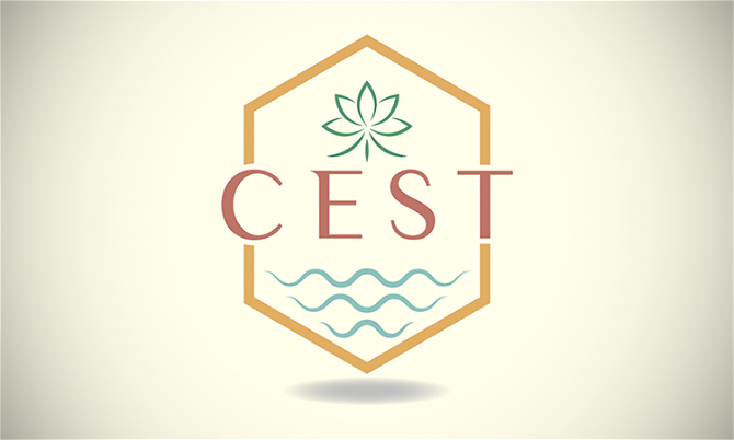 Cest.io